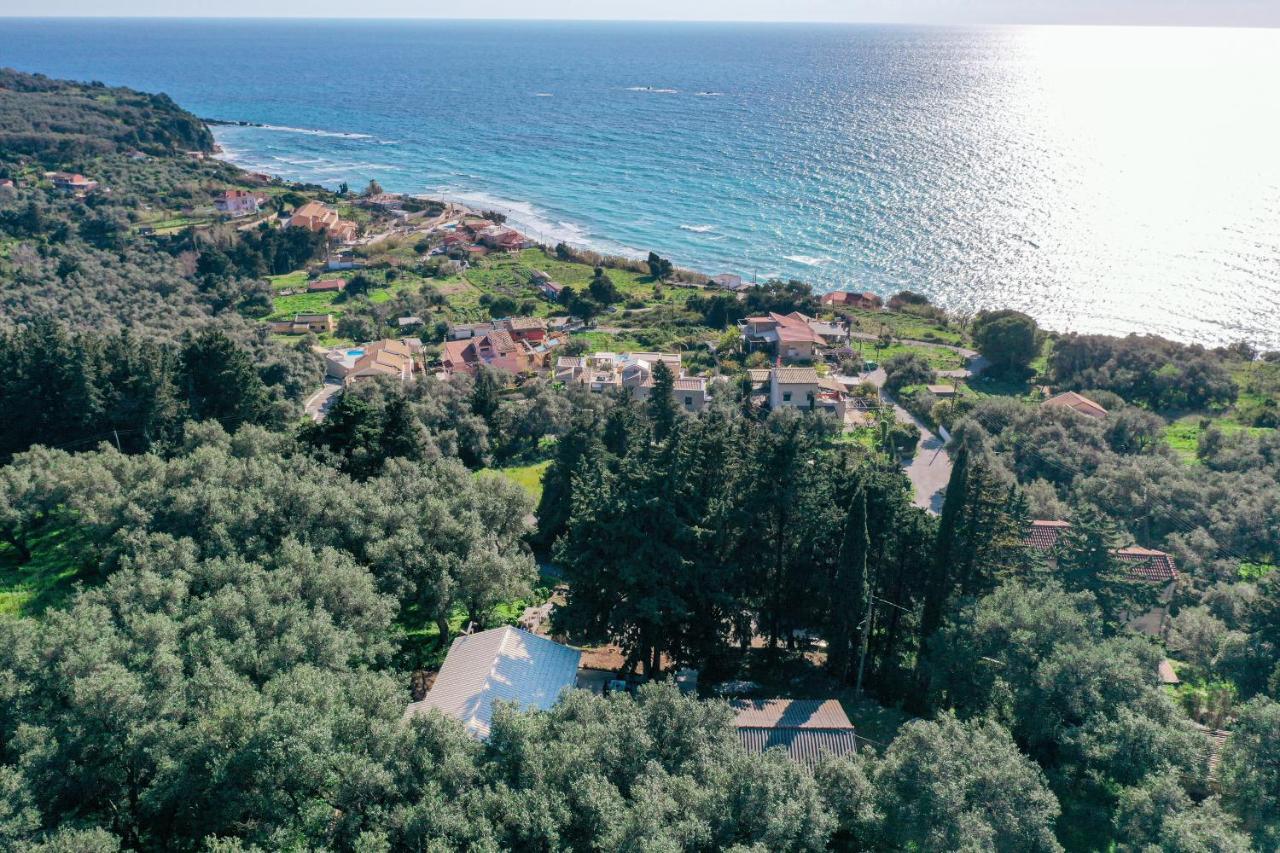 Amaryllis Seaview House By Guestcorfu Apartment