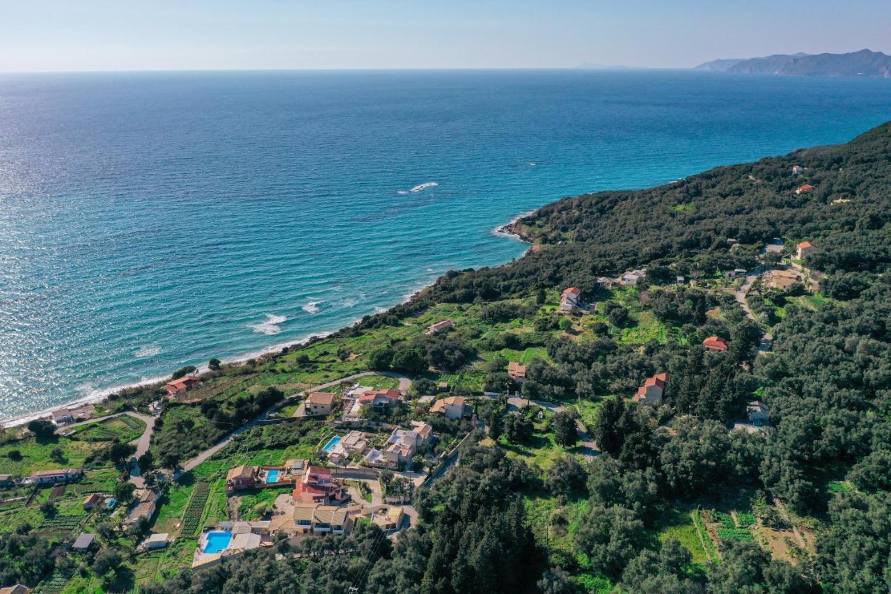 Apartment Amaryllis Seaview House By Guestcorfu Paramonas (Corfu)