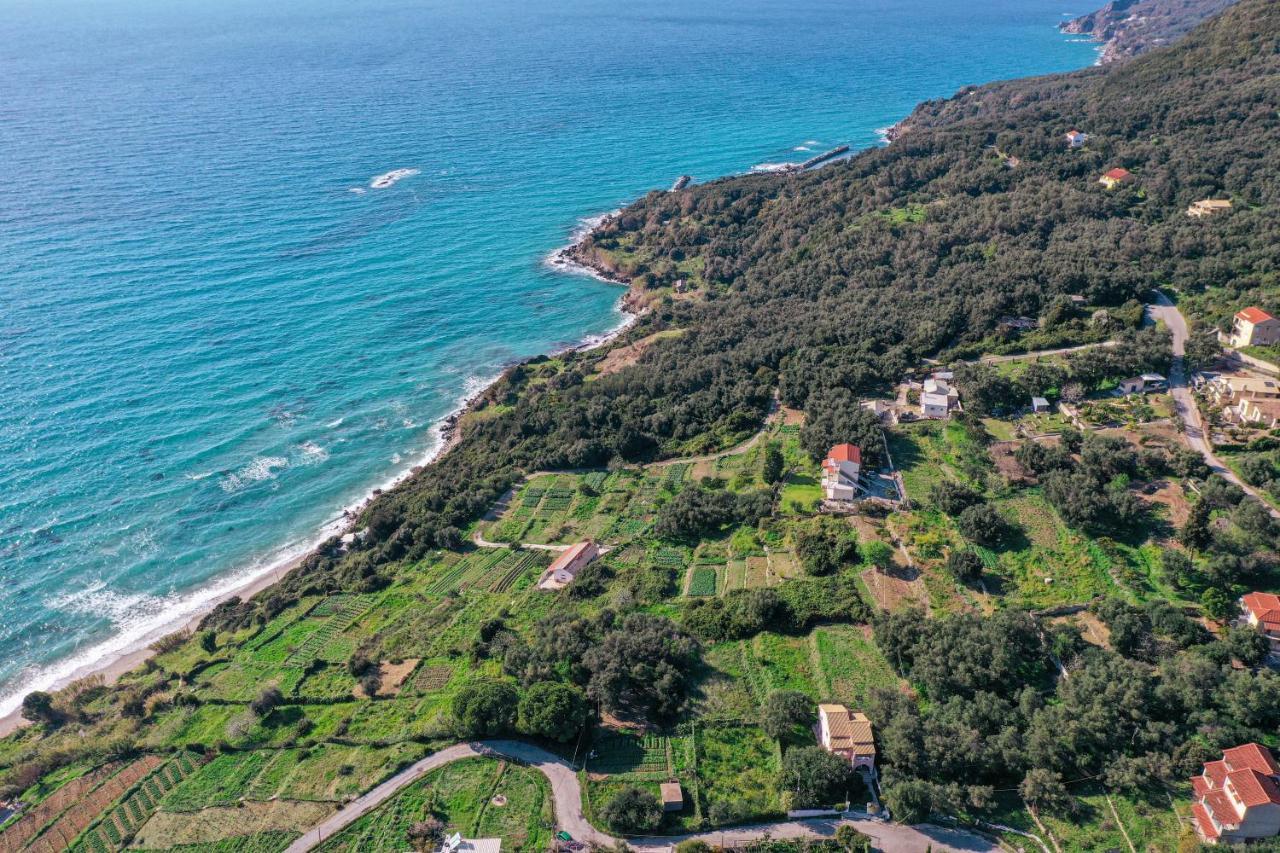 Apartment Amaryllis Seaview House By Guestcorfu Paramonas (Corfu)